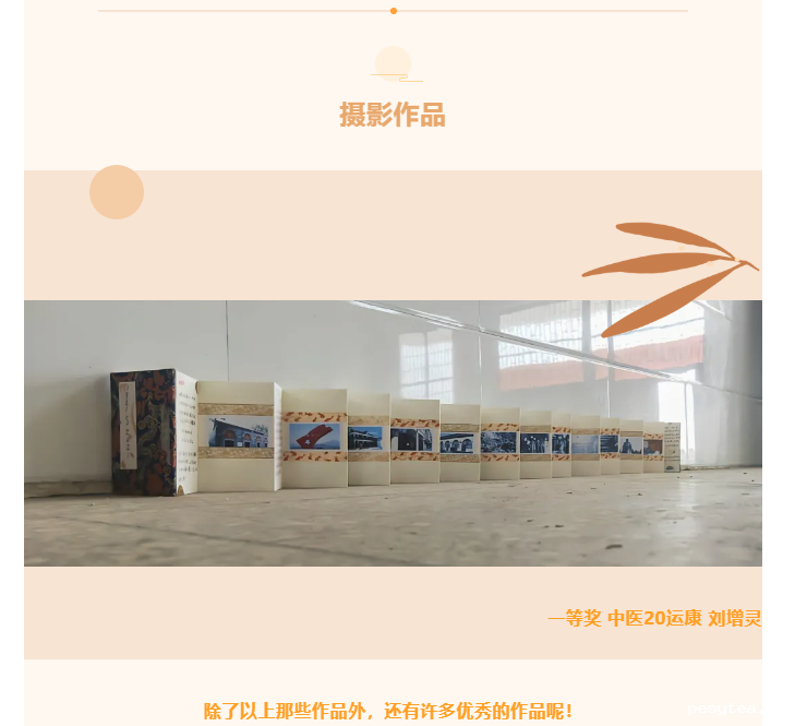 1618368039601713.png 1618368039601713.png