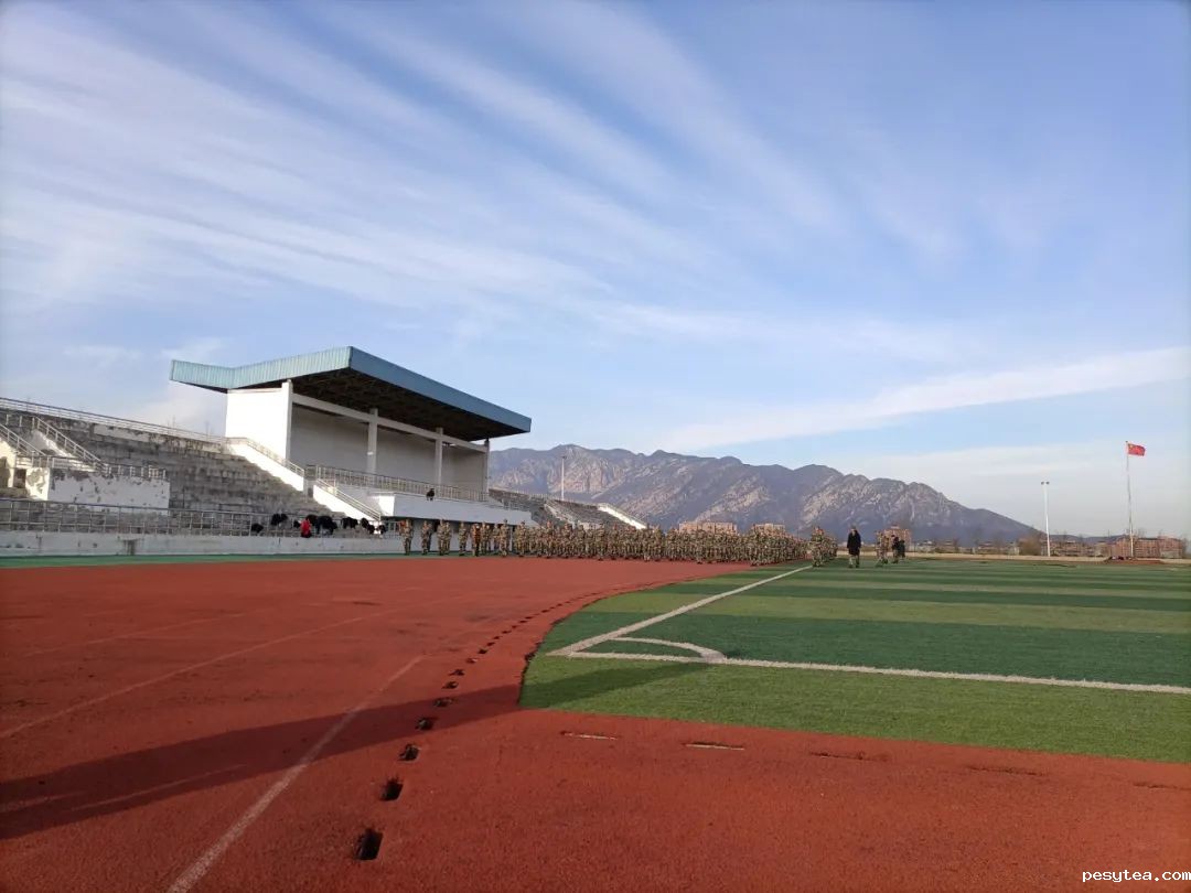 1647953132185272.jpg 8888.jpg