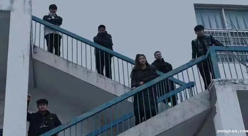 1677157550951376.png 1677157550951376.png