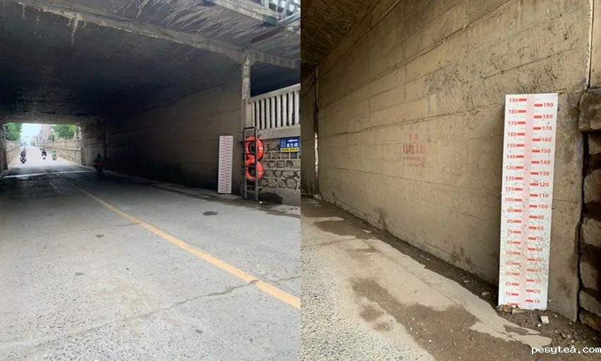 1731461403497615.jpg 4.jpg