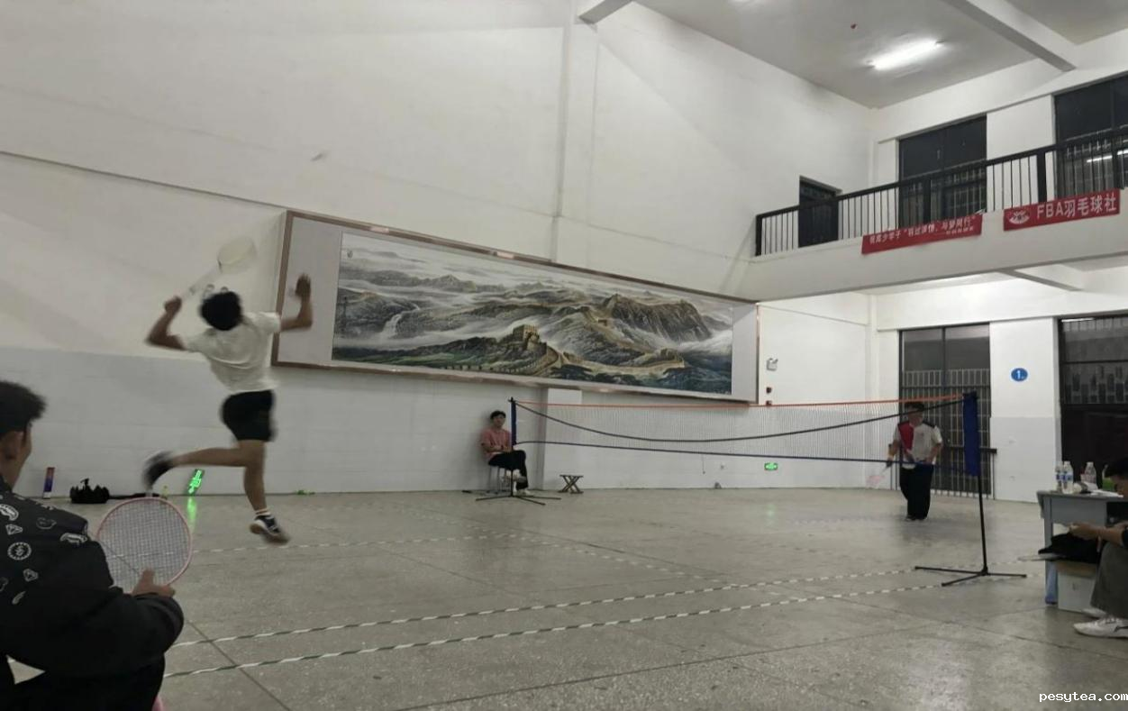 1733501540414186.png 羽毛球.png