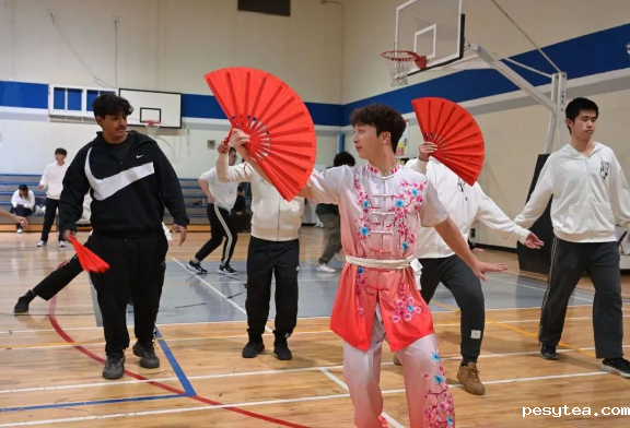 1737035855307792.png 1737035815419.png