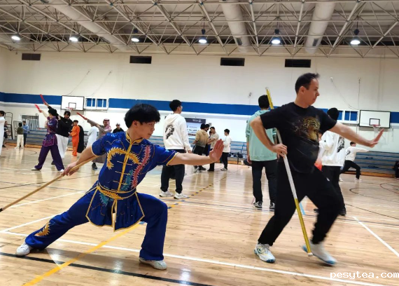 1737036039977687.png 1737035987004.png